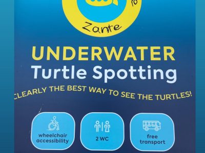 Turtle Spotting Adventure